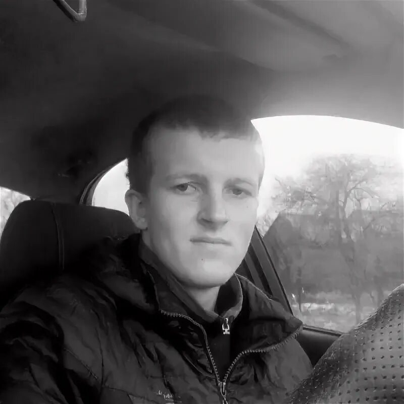 Табличная база данных. Василек лазоревый. Гуляй вася. Цветочное поле. Поляна ликорисов.