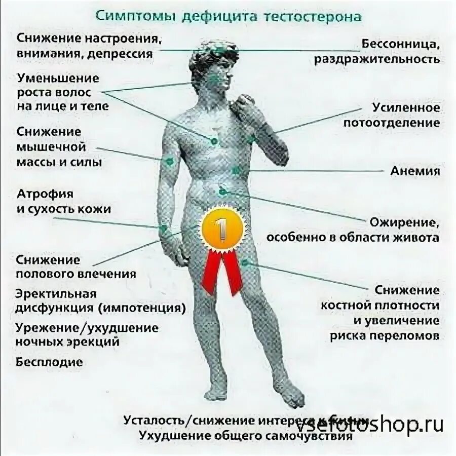 Низкие гормоны у мужчин. Симптомы дефицита тестостерона. Снижение секреции тестостерона. Симптомы сниженного тестостерона. Симптомы дефицита тесто.