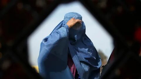 رسائی کے لنکس 