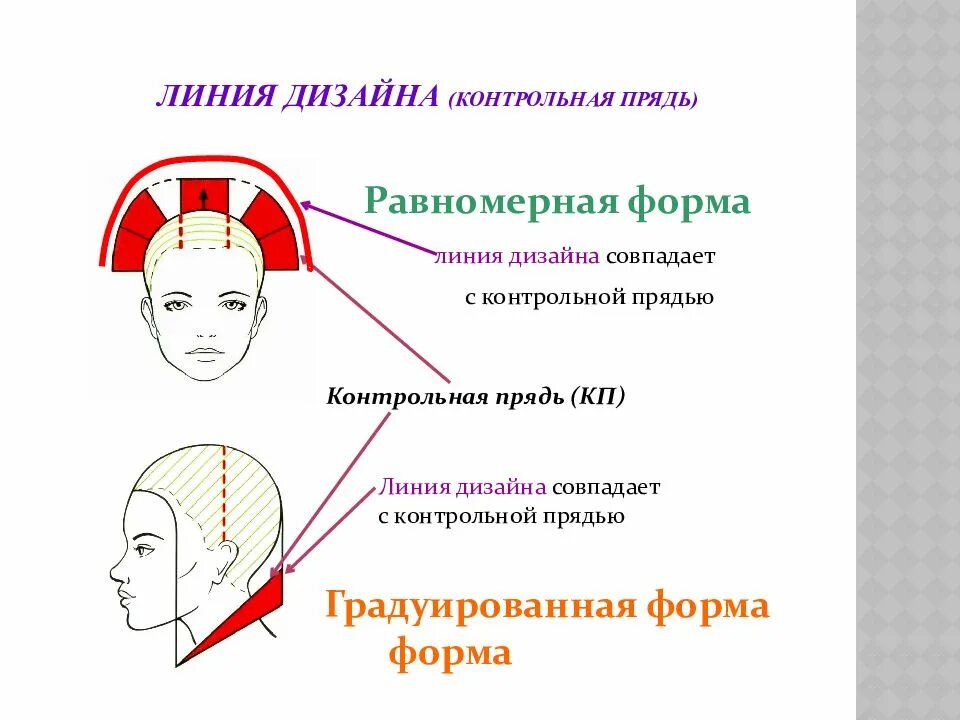 Упражнение 216- ГДЗ Русский язык 3 класс Учебник Рамзаева. Часть 1 (решебник) - 