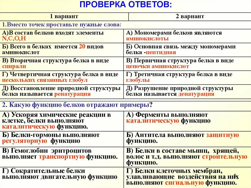 Химия белков тесты. Название белка выполняющего ферментативную функцию.