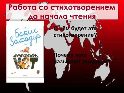 Вредный кот заниматься не дает