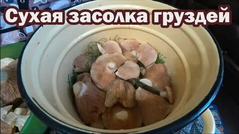Посол груздей сухим способом
