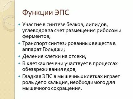 Функции эпс биология