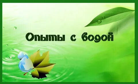 Опыт экология