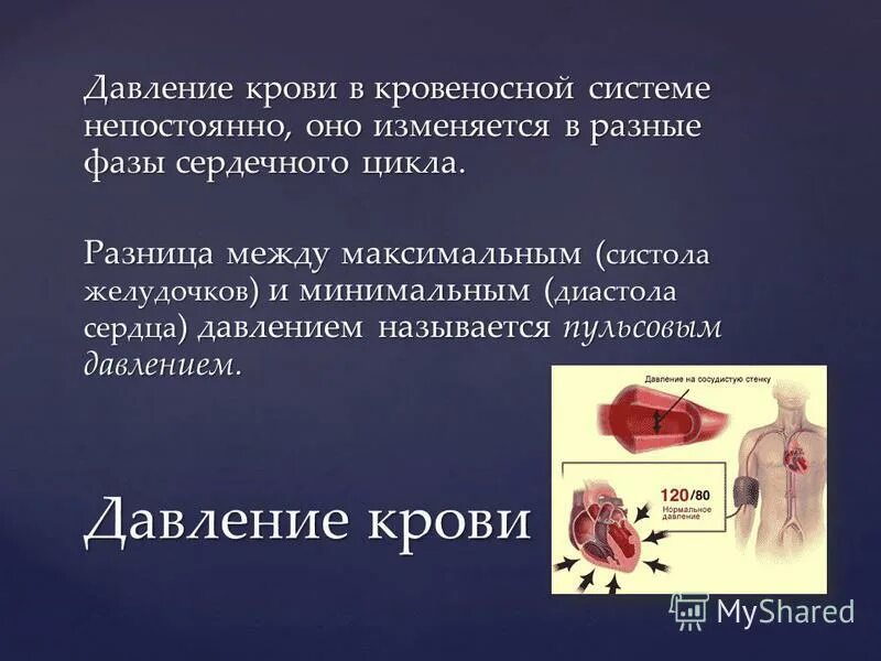 Движение крови биология 8 класс. Давление крови в кровеносной системе. Давление крови презентация 8 класс. Сообщение о движении крови. Биология 8 класс давление крови.