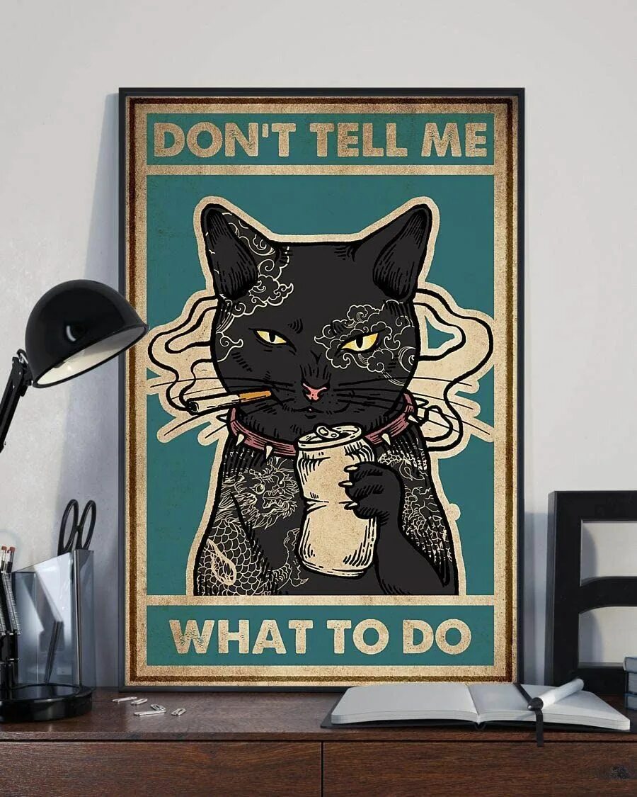 I don t have a cat