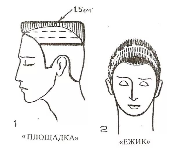 Выполнение мужских классических стрижек