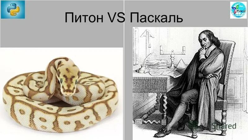 Pascal to python. Паскаль и питон. Паскаль vs Python. Питон и Паскаль разница. Паскаль лучше питона.