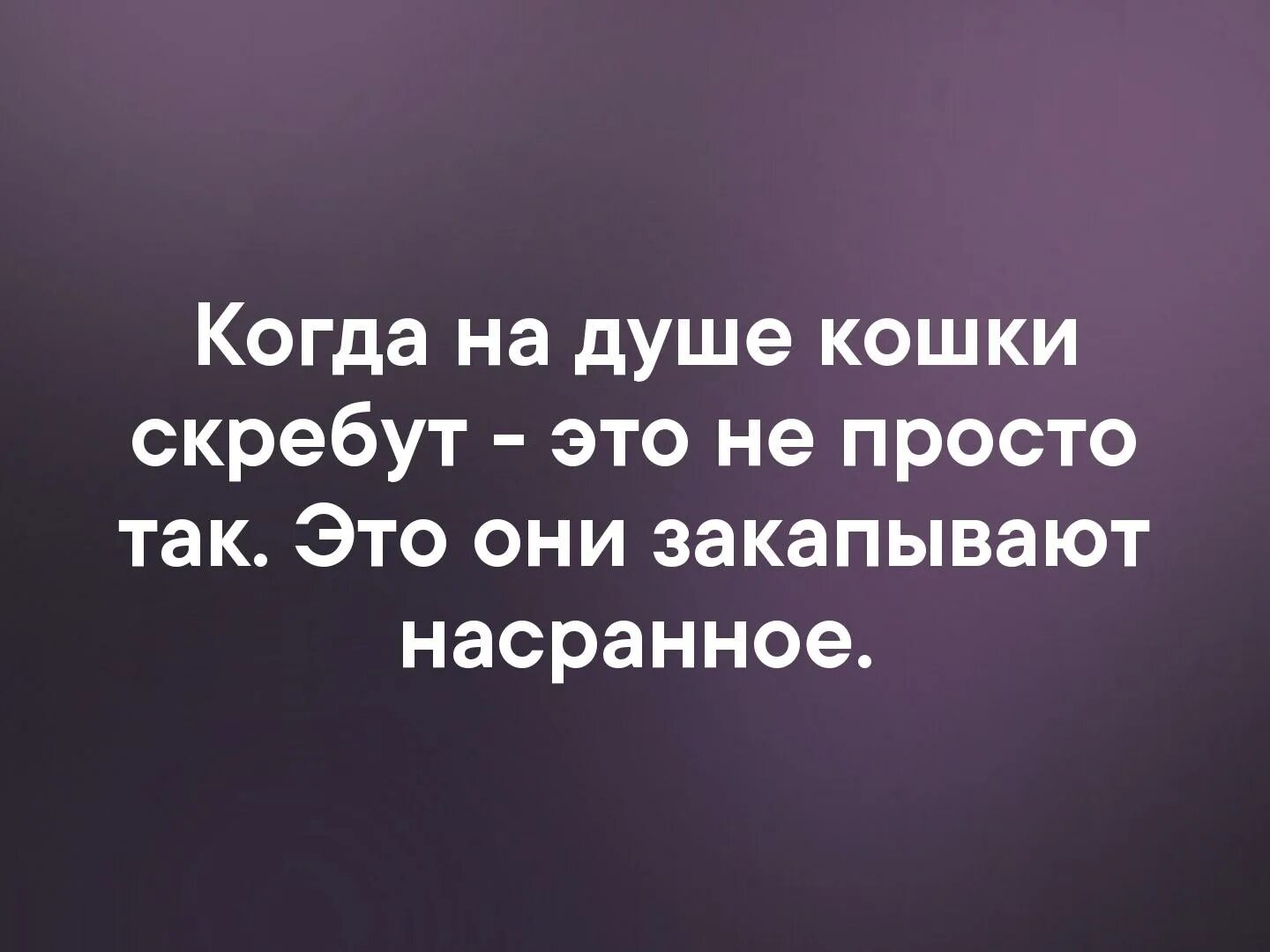 Кошки по душе скребут. Когда на душе кошки скребут цитаты. Когда на душе кошки скребут. Стихи если кошки на душе скребут.