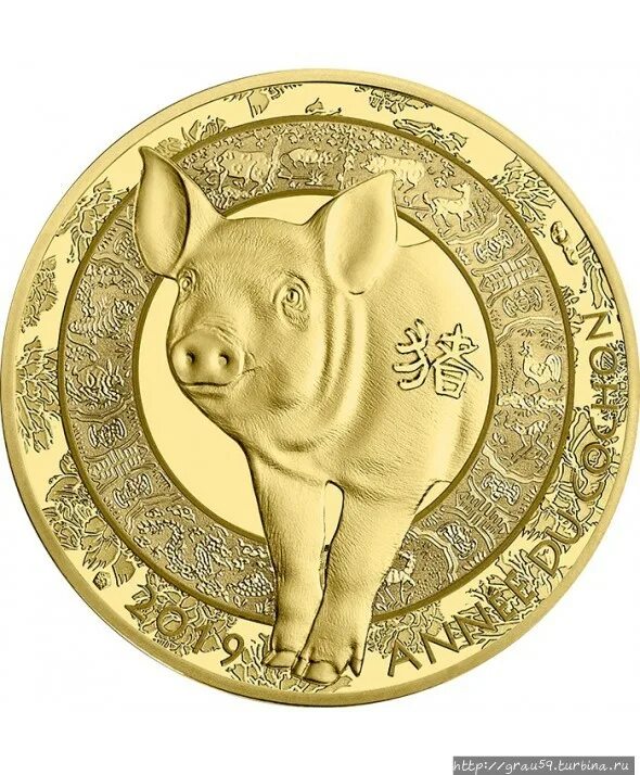 Год свиньи год лошади. Золотая монета Франции "год кролика". Монета свинья 2019. Монета год свиньи. Монета с поросенком.