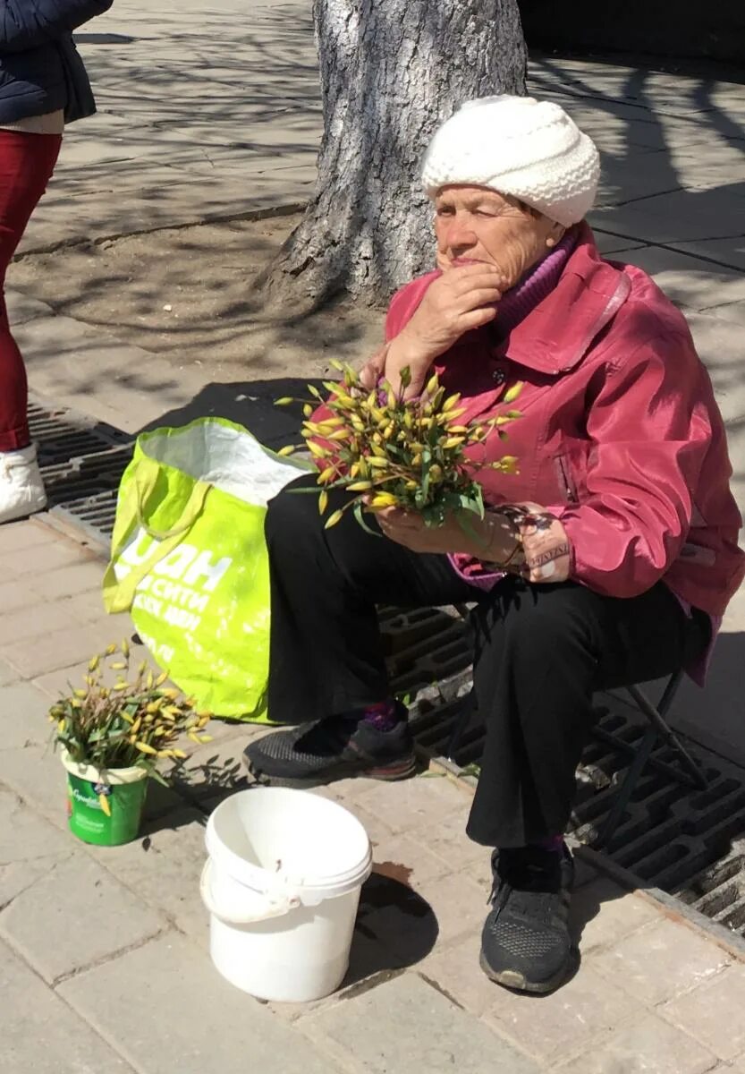 Бабушка продает. Бабки на рынке. Где бабушки продают цветы. Где бабушки продают цветы. Бабушка продает цветы.