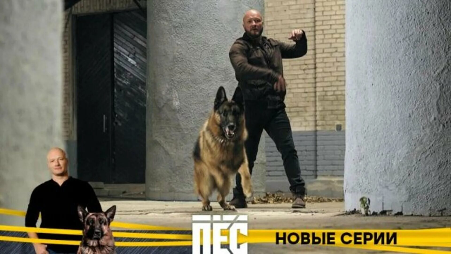 Включи пес будет. Включи пес будет. Пес 6. Шоу я и моя собака. Включи пес будет.