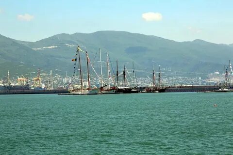 Организации г новороссийск