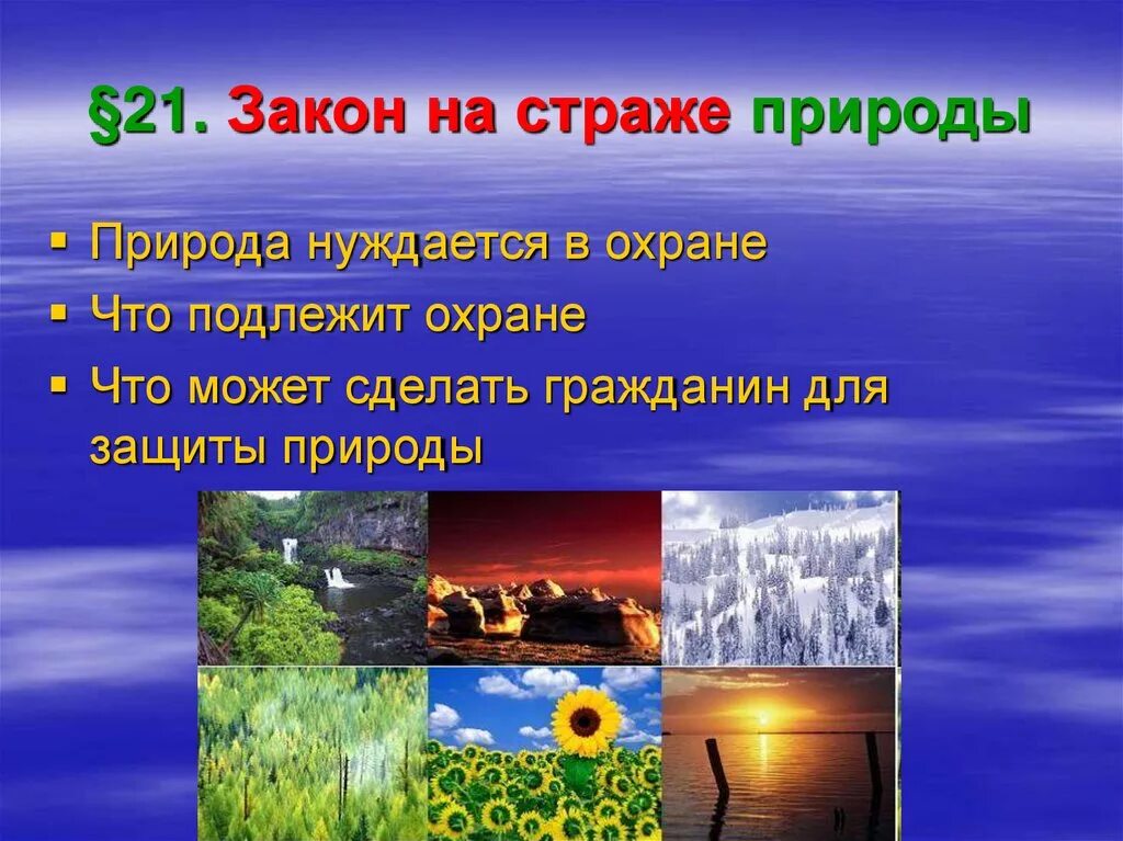 Что может сделать гражданин для охраны природы. Закон на страже природы. Природа нуждается в охране презентация. Природа для презентации. Закон на страже природы доклад.