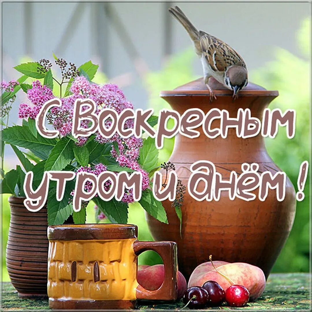 Доброе утро друзья с воскресеньем. Открытки с добрым утром воскресенья. с добрым воскресным утром. открытка доброго воскресенья. открытки с добрым воскресным днем.
