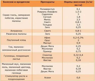 От вредителей ранней весной малины болезней