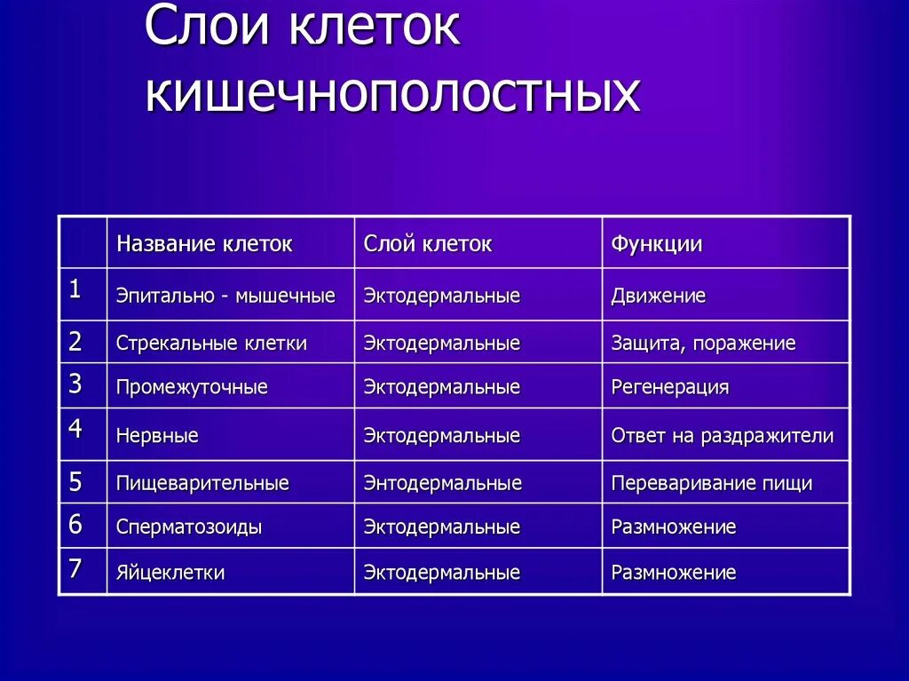 КИШЕЧНОПОЛОСТНЫЕ!