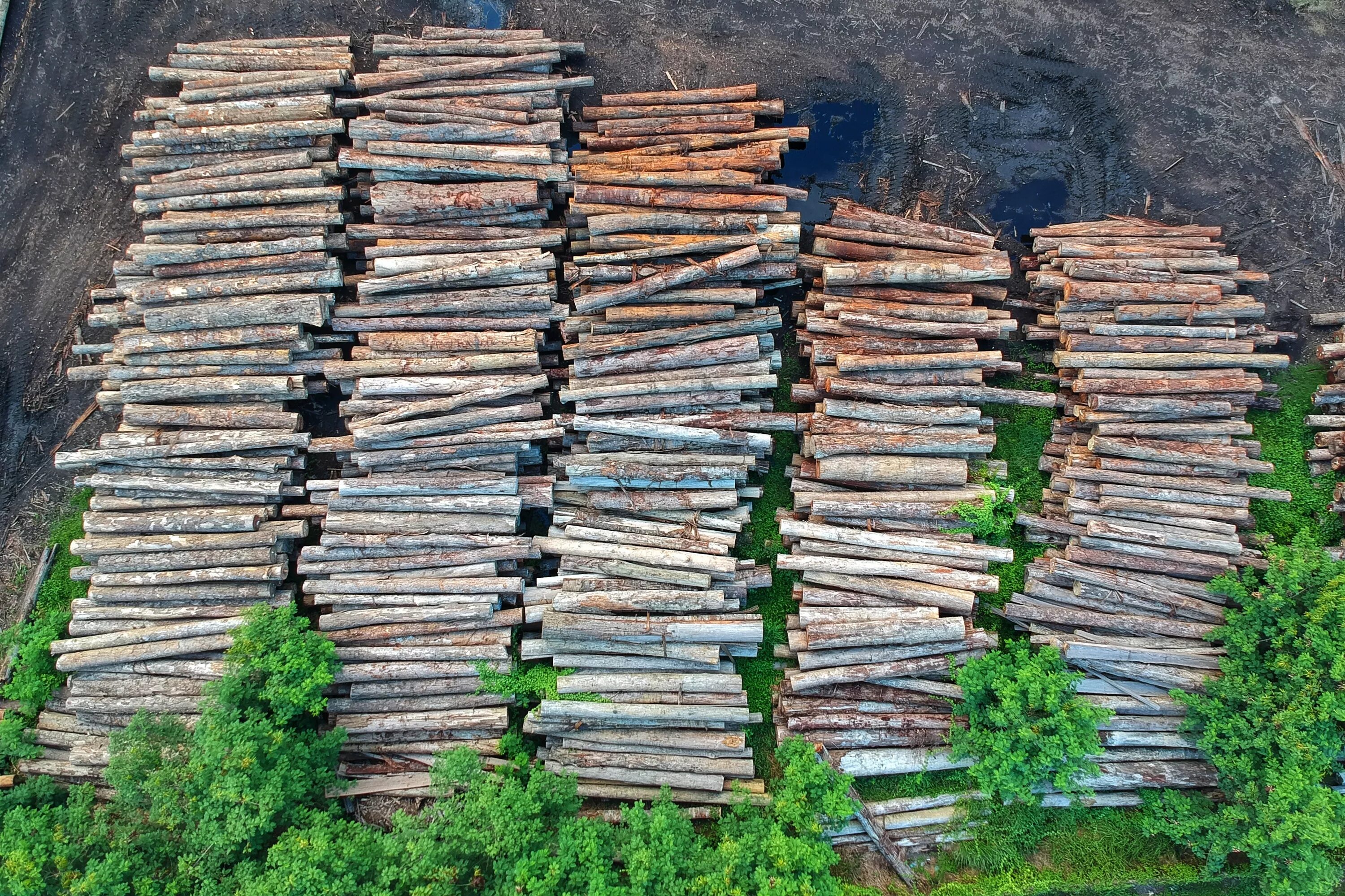 Problems logging