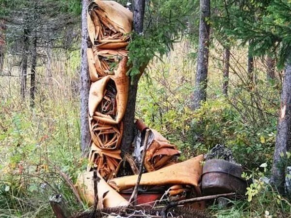 Оплатил ли шаман похороны. Шаманские могилы. Могила шамана. Могилы шаманов.