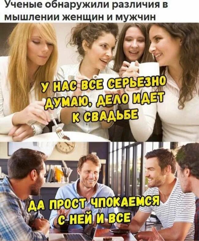Мышление мужчины женщины. Разница в мышлении мужчины и женщины. разница в мышлении юмор. без свадьбы только мухи. свадьба без свадьбы только мухи женятся.
