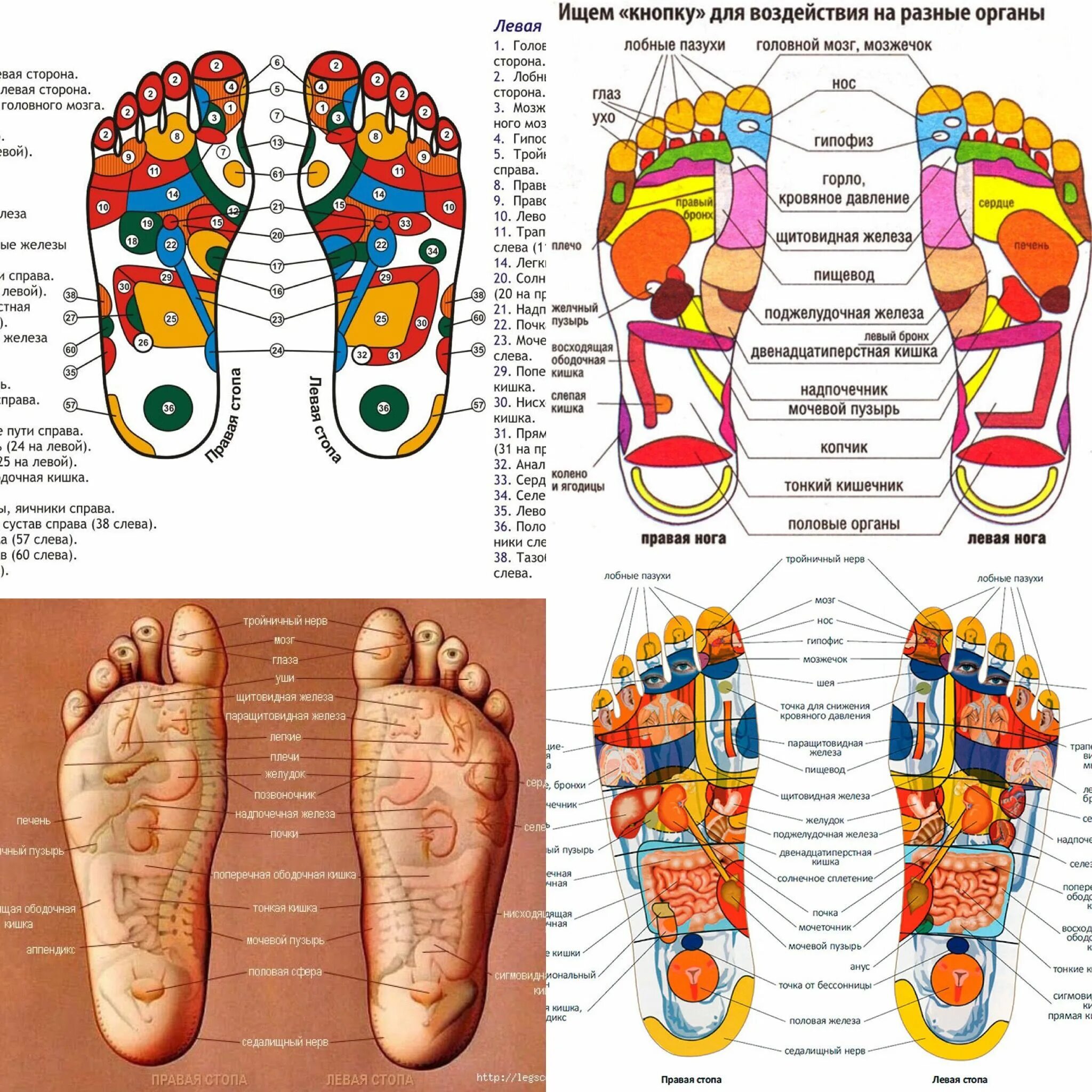 Массаж стопы акупунктурные точки. Акупунктурные точки на стопе. Акупунктурные точки на ногах. Точечный массаж ступней ног схема. Значение правой ноги