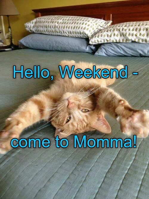 Coming this weekend. Hello weekend. Weekend is coming meme. Привет weekend картинки. When weekend comes Мем.