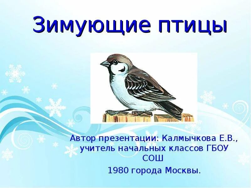 Сообщение на тему птицы 8 класс. Зимующие птицы. зимующие птицы для дошкольников. птицы 1 класс. зимующие птицы слайд.