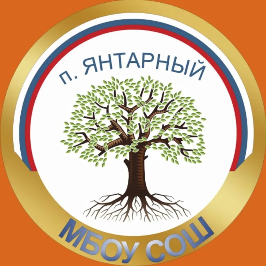 Янтарная школа аксайский район. Школа поселок янтарный аксайский район. Школа поселок янтарный. Школа поселок янтарный. Школа в янтарном аксай.