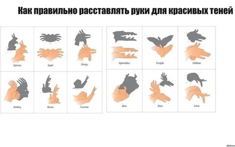Подсказки тень