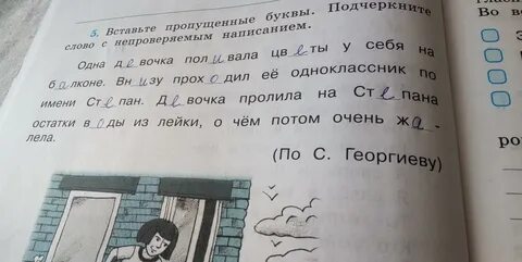 В предложение 5 найди слово