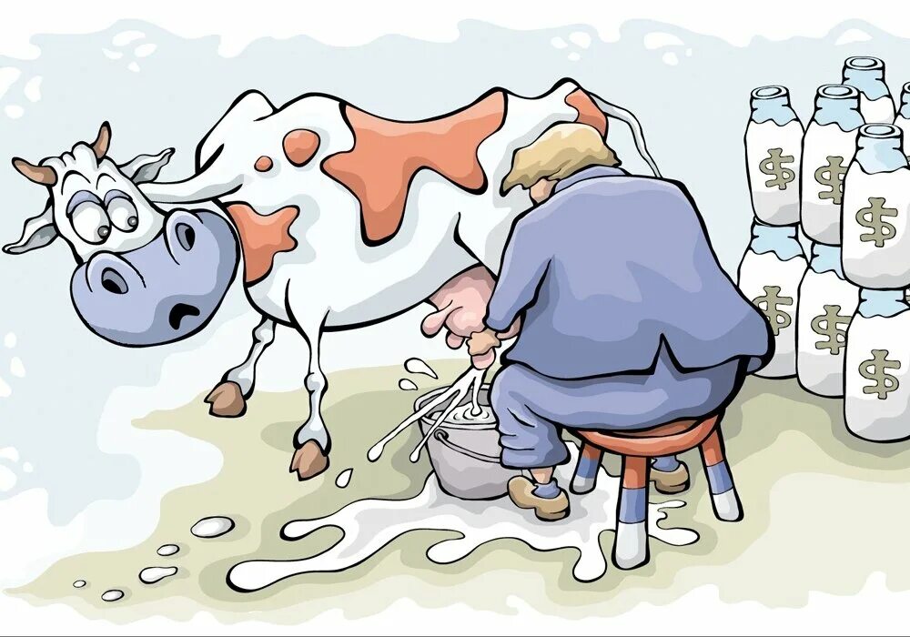 Ответить молоко. Корова карикатура. Корова молоко. Доят молоко. Дойная корова.