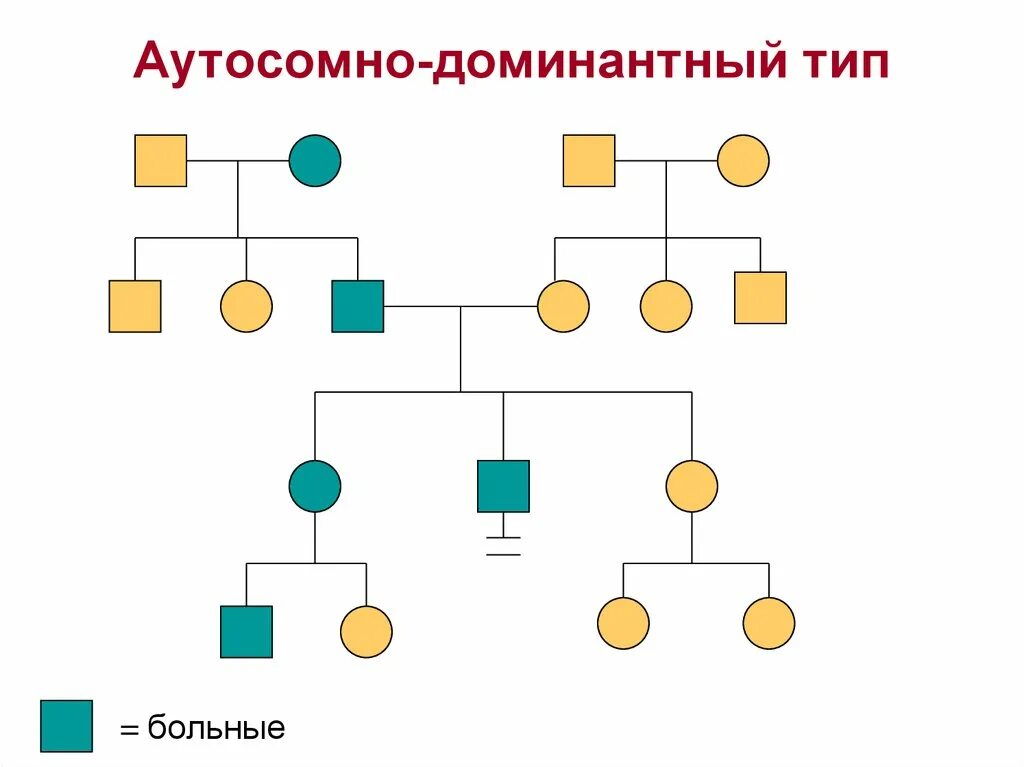 Аутосомно доминантное наследование заболеваний. Аутосомно-доминантный Тип. Аутосомно-доминантный Тип наследования. Аутосомно-доминантное схема. Аутосомно-доминантный Тип наследования картинки.