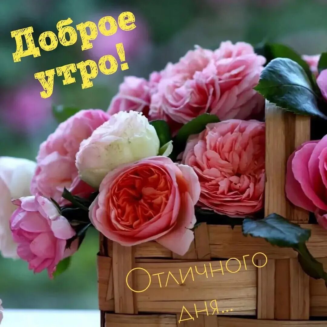 Pin by Lara on Good evening*afternoon Good evening greetings, Good afternoon, Ev