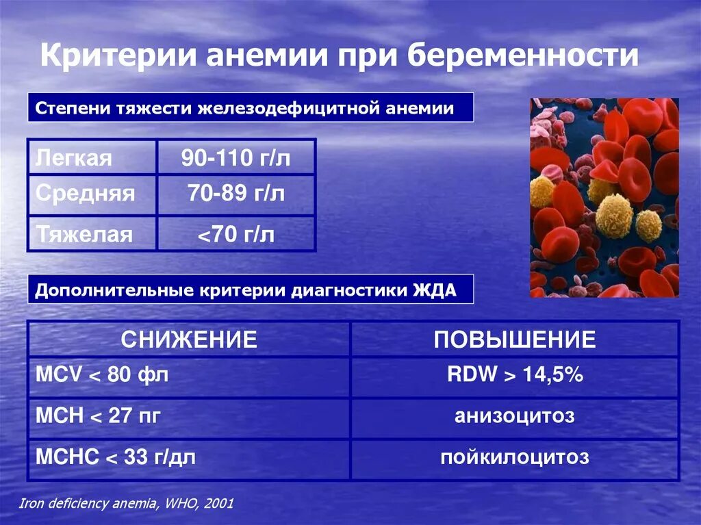 Что такое анемия при беременности. Степени анемии у беременных. Анемия беременных классификация. Анимия при беремености. Анемия беременных стадии.