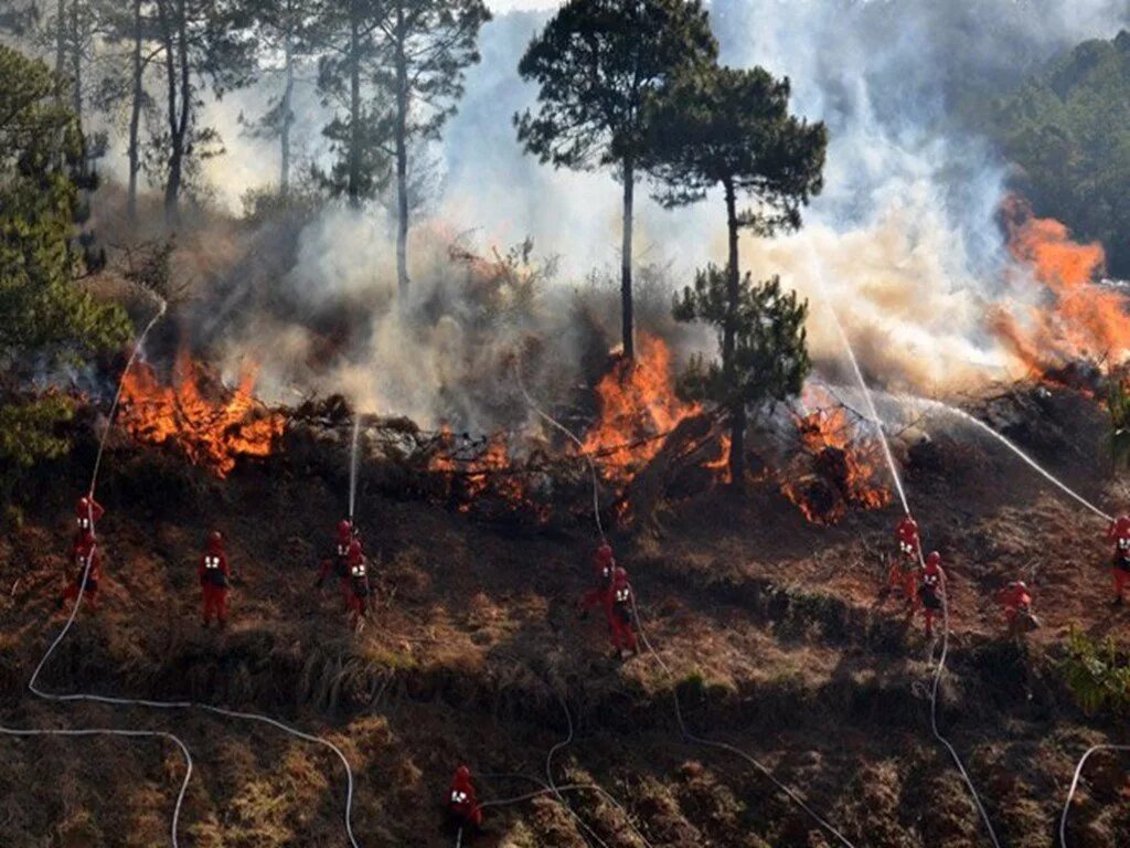 Тушение лесных пожаров. Лесные пожары в Китае. Природные пожары Китая. Лесной пожар ЛЕНОБЛАСТЬ. Расширенные пожары