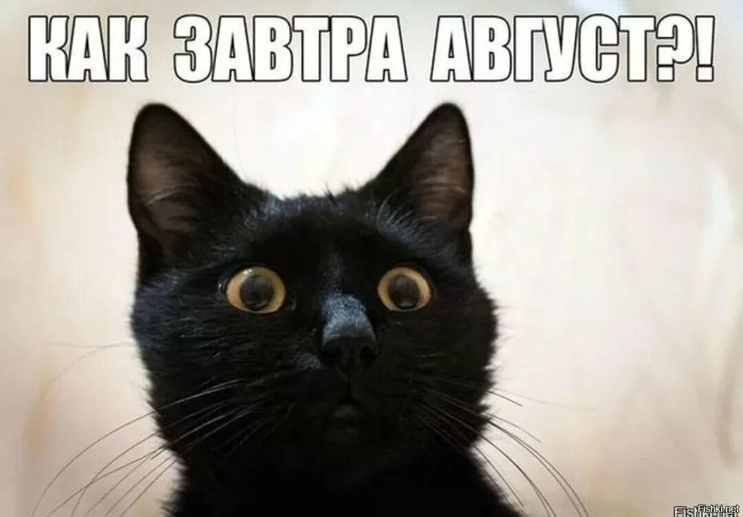 Ой закончилось