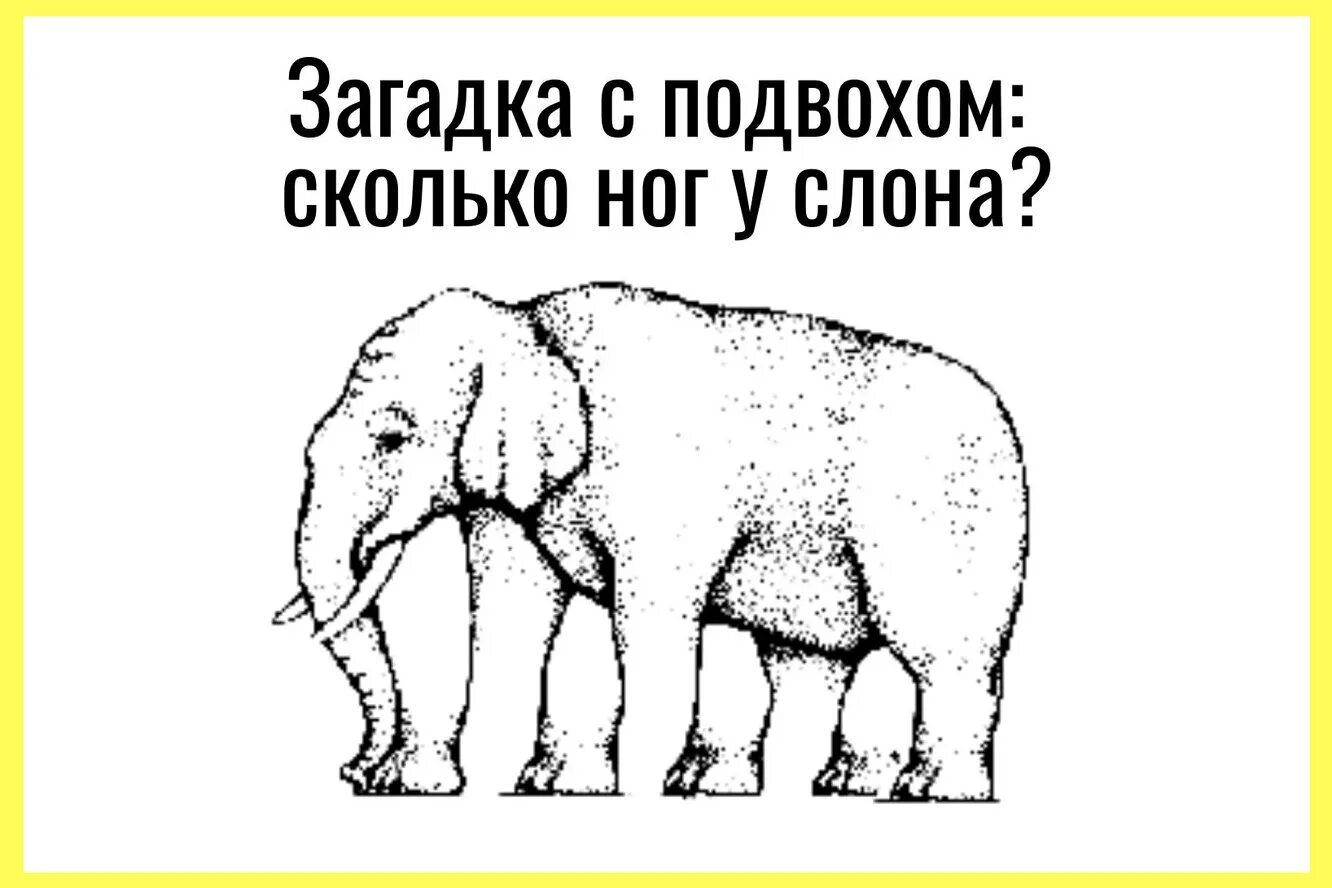 Иллюзия со слоном. Тест рисование картинок слон. Тест с изображением слона. Загадка сколько ног у слона.