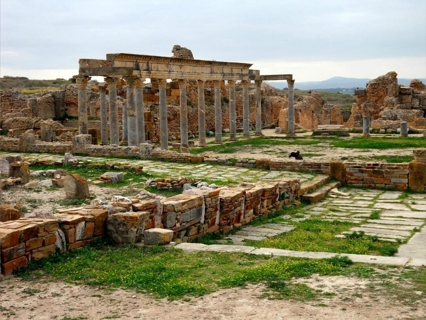 Древние руины где находятся. Тунис древний Карфаген. Развалины Карфагена в Тунисе. Древний город Карфаген в Тунисе. Руины древнего города Карфаген.