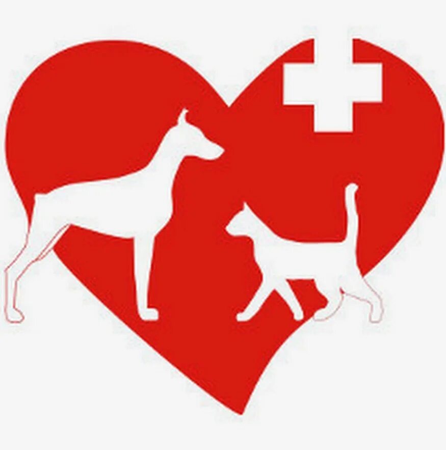 Ok vet. Символ ветеринарии. Ветеринарная клиника лого. Ветеринарный логотип. Значок ветеринарной клиники.