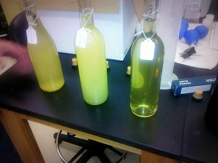 Для осветления вин используют. Осветление вина бентонитом. Мутное вино. 5 л. Осветление домашнего вина.