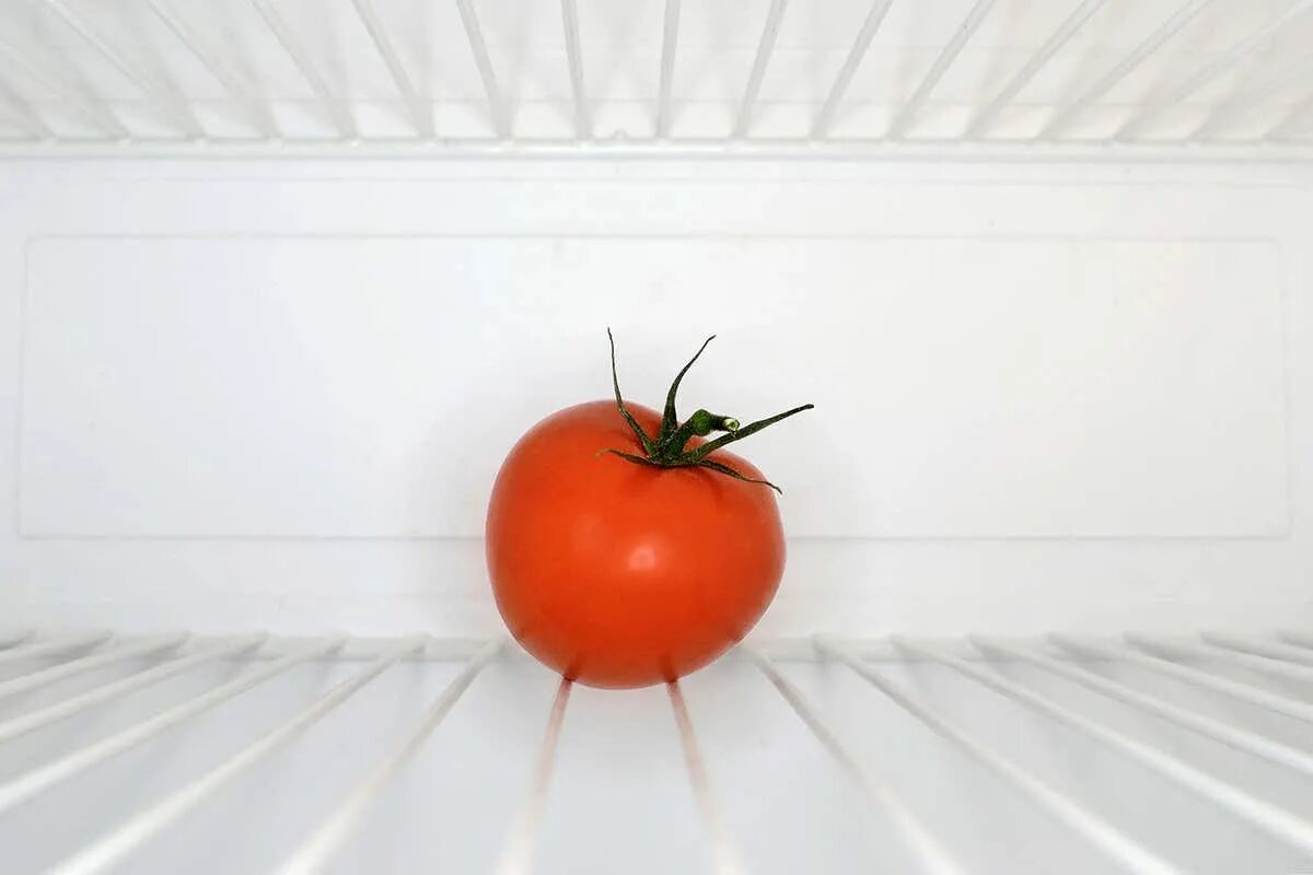 Помидоры в холодильнике. 2 Помидора в холодильник. Сидят два помидора в холодильнике. Старый томат в холодильнике. There are some tomatoes in the fridge