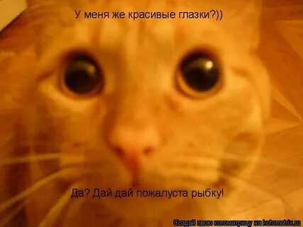 Уау