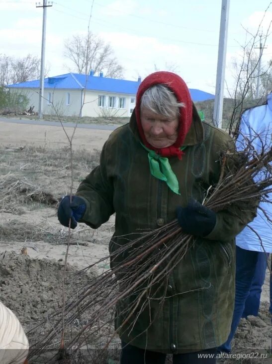 Погода алтайский край бастан. Село бастан Михайловского района Алтайского края. Село Ащегуль Михайловского района Алтайского края. Алтайский край Михайловский район село Ракиты. Село Полуямки Михайловского района Алтайского края.