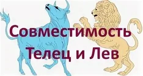 Лев и телец совместимость