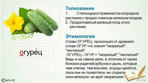 Слово корнишон