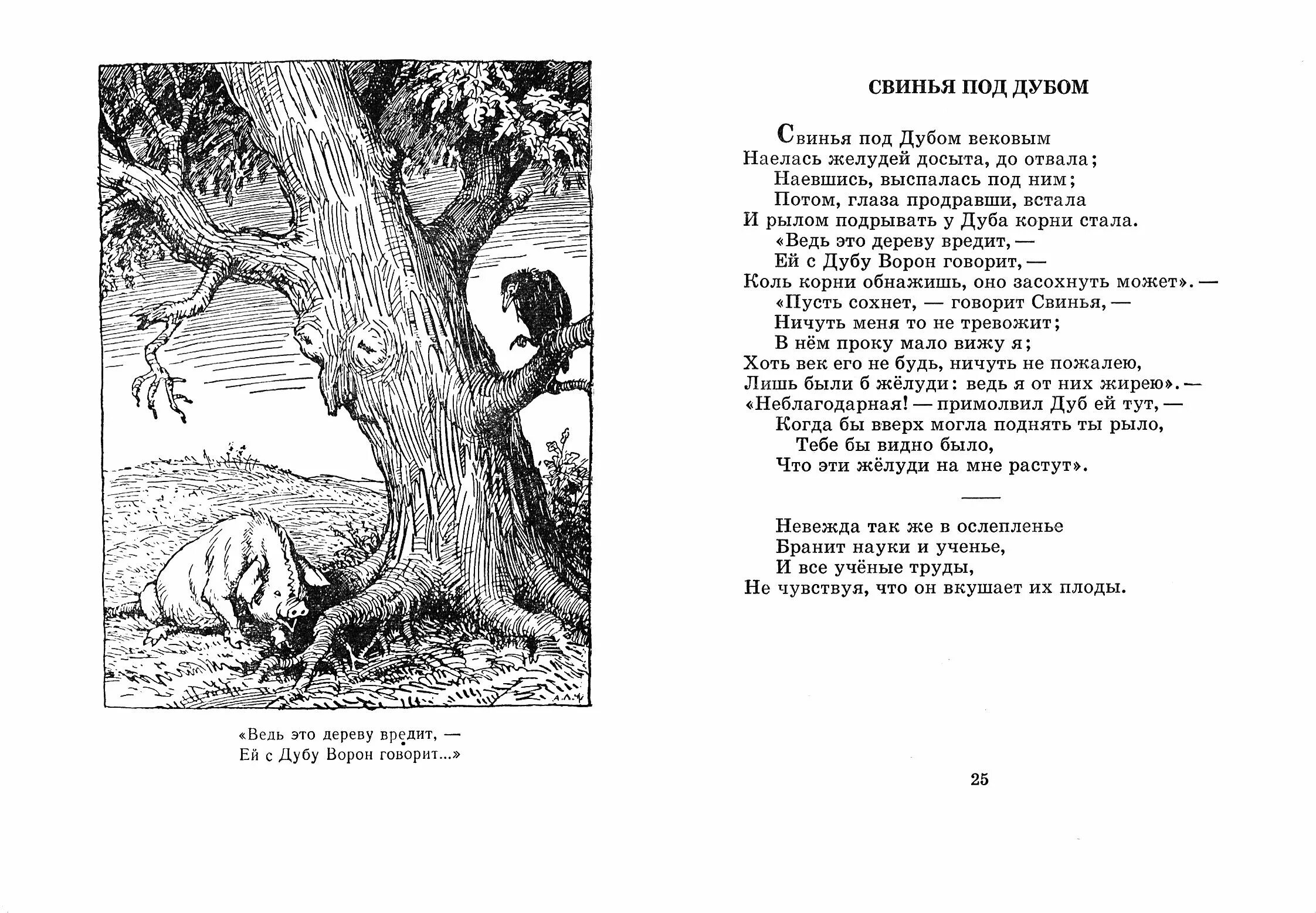 Крылов свинья читать. Текст басни свинья под дубом Крылов. Свинья под дубом басня Крылова печать. Свинья под дубом картинки. Свинья и дуб басня Крылова.