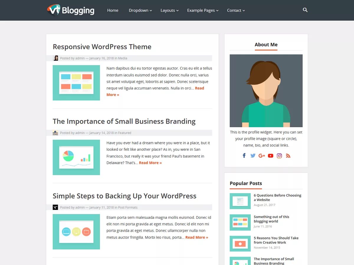 Admin posted. Топ тем для блога WORDPRESS. VT-blogging. WORDPRESS blog Templates. WORDPRESS blog example.