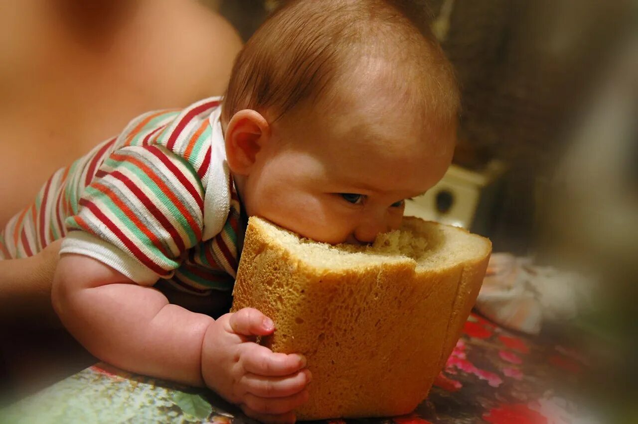 Don t eat bread