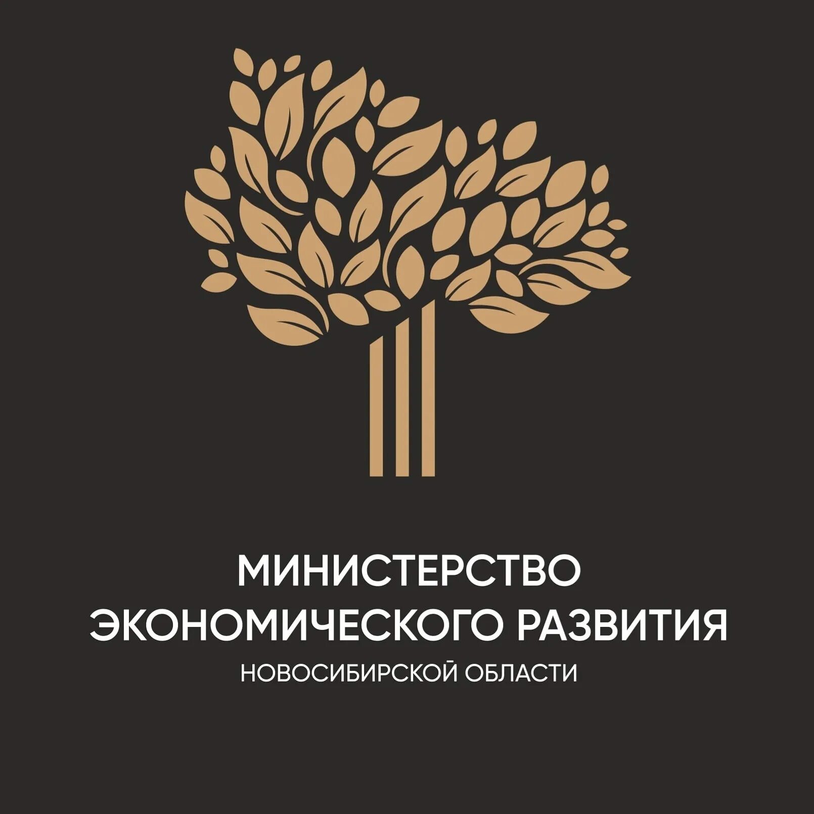 Социально экономическое развитие новосибирской области. Минэконом НСО. Министерство экономического развития НСО. Министерство экономического развития Новосибирской области логотип. Министр экономического развития Новосибирской области.